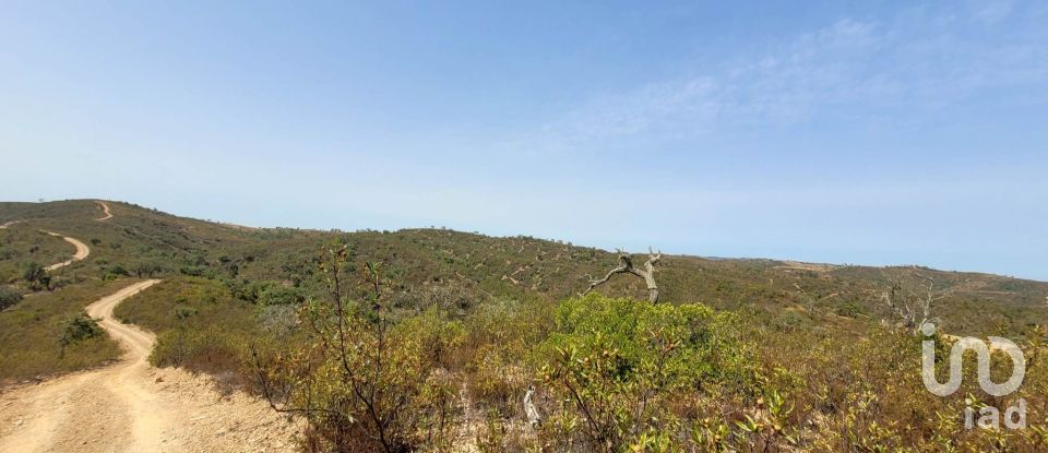 Building plot in Salir of 31,312 m²