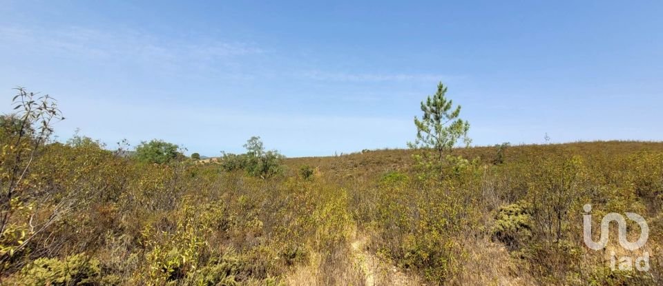 Building plot in Salir of 31,312 m²