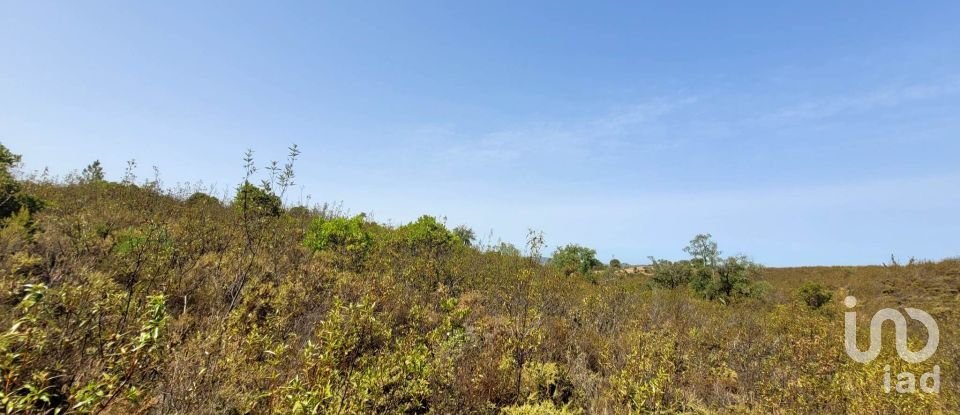 Building plot in Salir of 31,312 m²