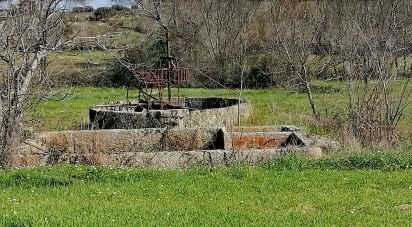 Terrain agricole à Castelo Branco de 53 000 m²