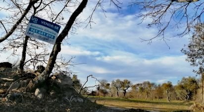 Terrain agricole à Castelo Branco de 53 000 m²