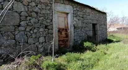 Terrain agricole à Castelo Branco de 53 000 m²