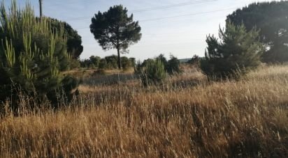 Building plot in Sado of 6,720 m²
