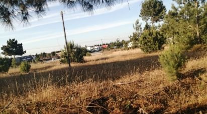 Building plot in Sado of 6,720 m²