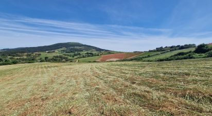 Terrain à Turcifal de 1 982 m²