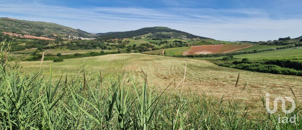 Land in Turcifal of 1,982 m²