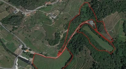 Terrain agricole à Louredo e Fornelos de 35 296 m²