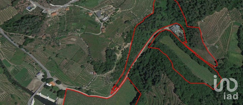 Terreno rústico em Louredo e Fornelos de 35 296 m²