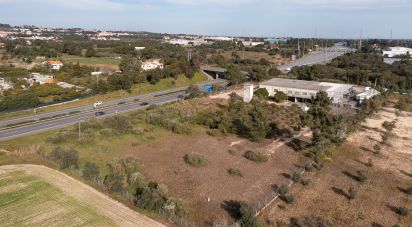 Hangar à Palmela de 286 m²