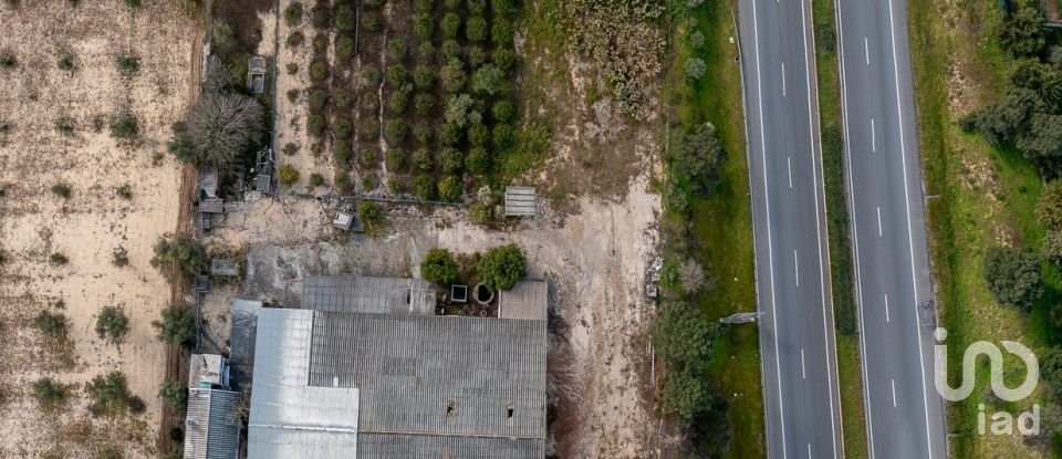 Warehouse in Palmela of 286 m²