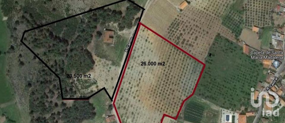 Terreno em Jou de 49 500 m²