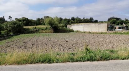 Terrain à Alqueidão de 1 632 m²