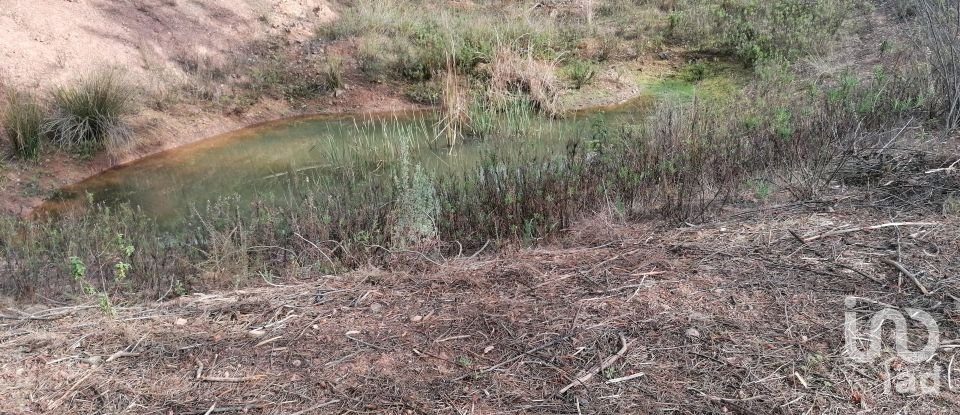 Terreno em Alferce de 224 180 m²