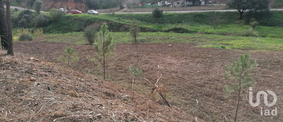 Terreno em Alferce de 224 180 m²