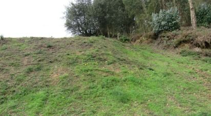 Terrain à Caranguejeira de 1 010 m²