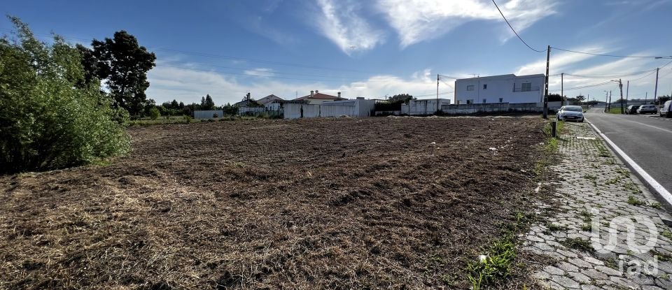 Terrain à Oliveirinha de 737 m²