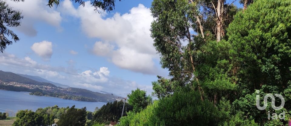 Terreno em Seixas de 778 m²