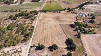 Terrain à Pegões de 31 738 m²