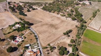 Terrain à Pegões de 31 738 m²