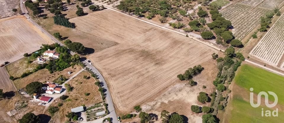 Terrain à Pegões de 31 738 m²