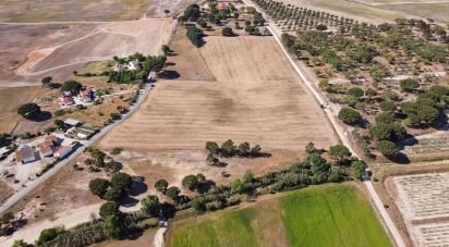 Terrain à Pegões de 31 738 m²