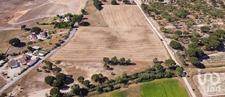 Terrain à Pegões de 31 738 m²