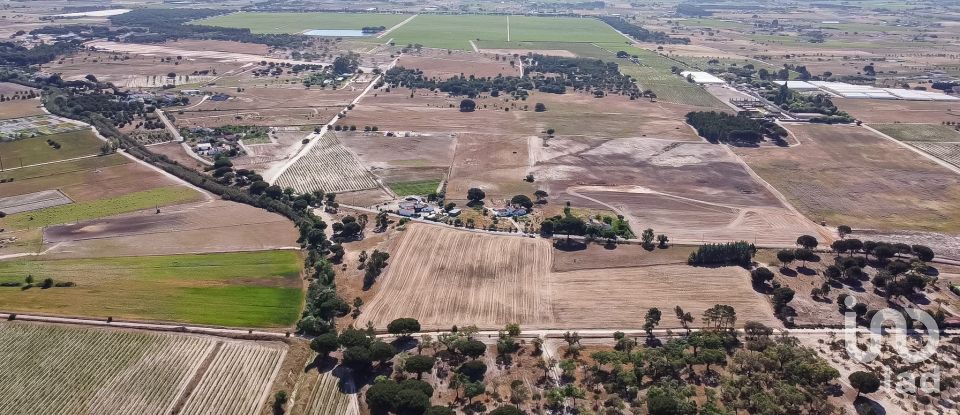 Terrain à Pegões de 31 738 m²