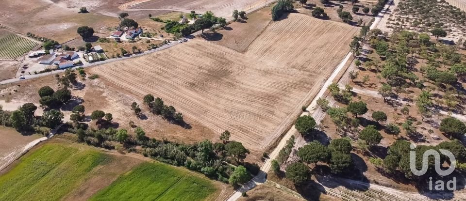 Terrain à Pegões de 31 738 m²