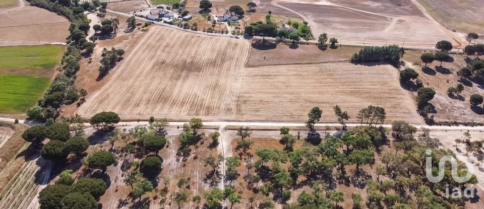 Terrain à Pegões de 31 738 m²