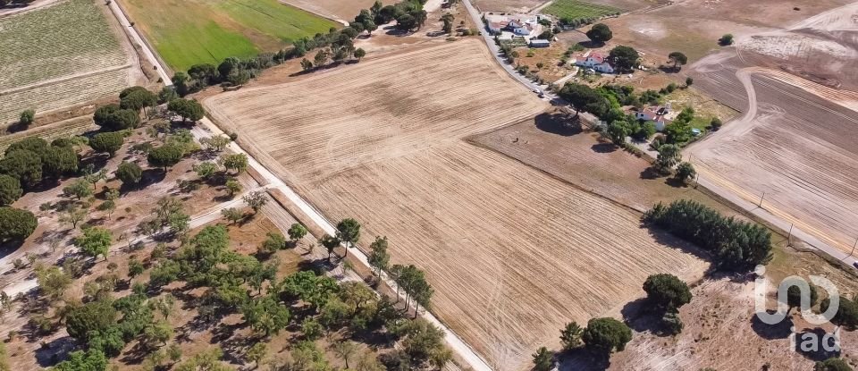 Terrain à Pegões de 31 738 m²