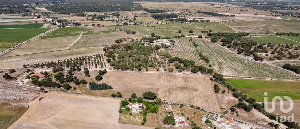 Land in Pegões of 31,738 m²