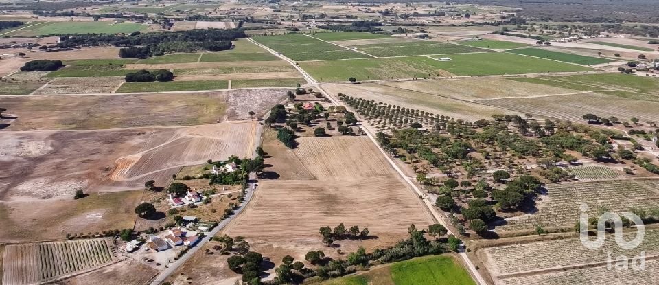 Terrain à Pegões de 31 738 m²