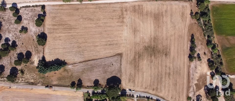 Terrain à Pegões de 31 738 m²