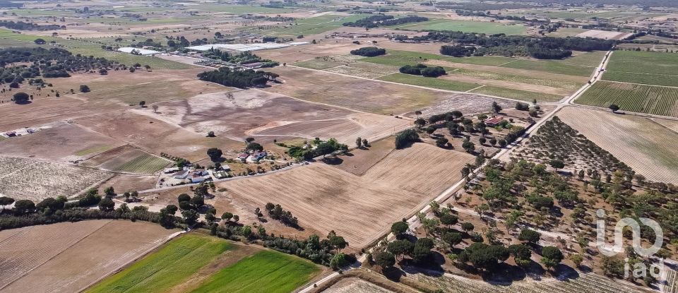 Terrain à Pegões de 31 738 m²