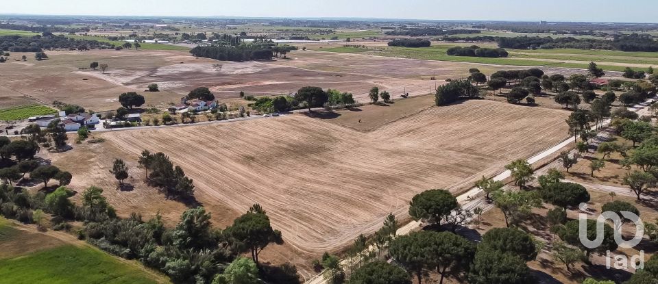 Terrain à Pegões de 31 738 m²