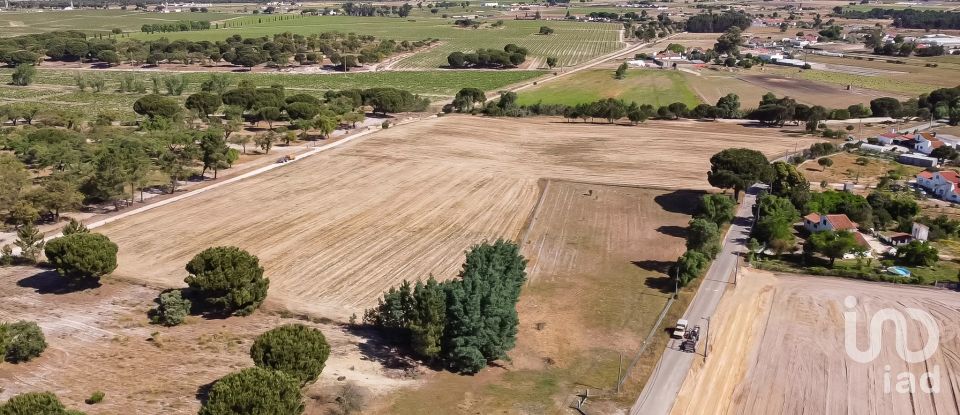 Terrain à Pegões de 31 738 m²