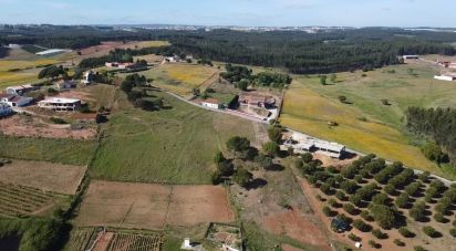 Building land in Ramalhal of 4,600 m²