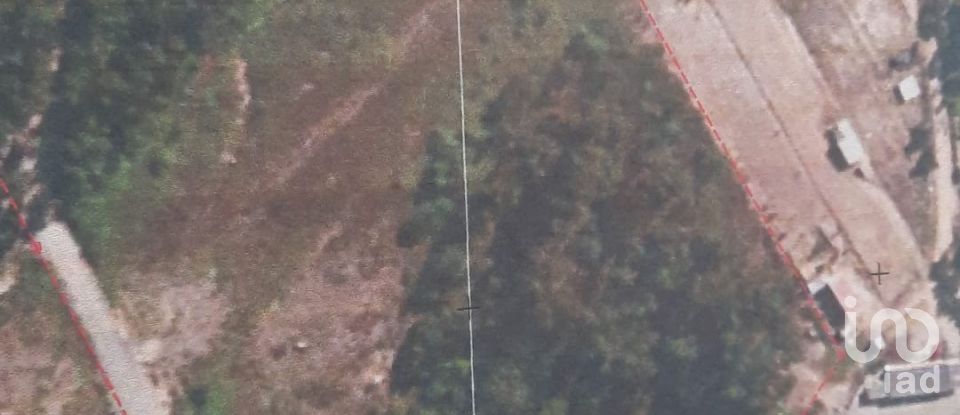 Terreno em Ramalhal de 24 955 m²