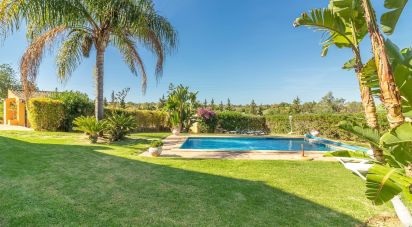 House T5 in Estômbar e Parchal of 250 m²