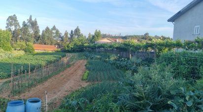 Land in Sandim, Olival, Lever e Crestuma of 1,777 m²