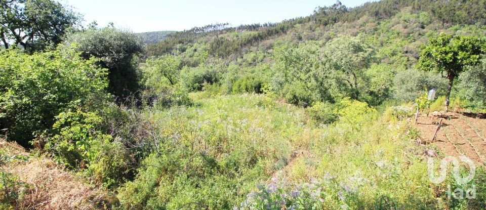 Maison T3 à Além da Ribeira e Pedreira de 130 m²