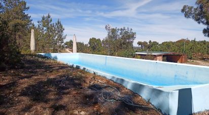 Terrain à Ponte de Sor, Tramaga e Vale de Açor de 18 000 m²