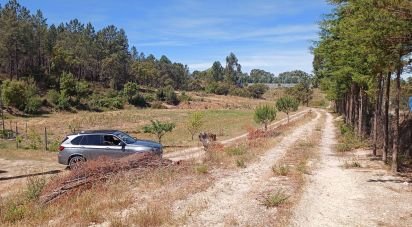 Terrain à Ponte de Sor, Tramaga e Vale de Açor de 18 000 m²