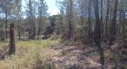 Terrain à Ponte de Sor, Tramaga e Vale de Açor de 18 000 m²