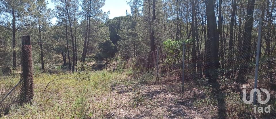 Terreno em Ponte de Sor, Tramaga e Vale de Açor de 18 000 m²