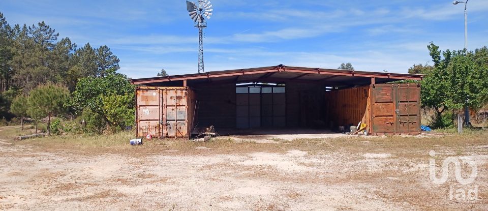 Terreno em Ponte de Sor, Tramaga e Vale de Açor de 18 000 m²
