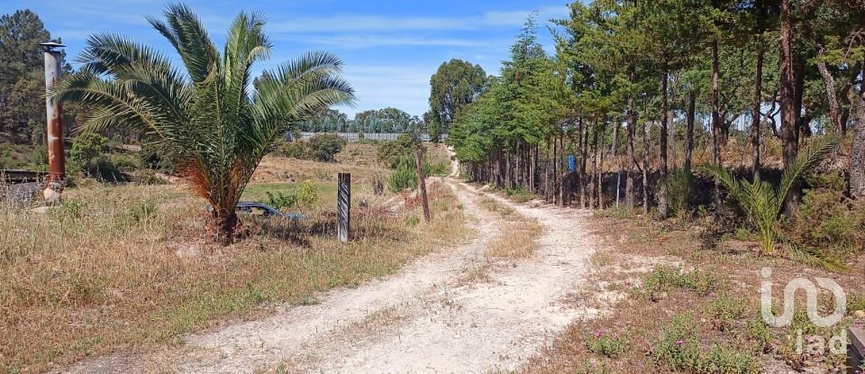 Terreno em Ponte de Sor, Tramaga e Vale de Açor de 18 000 m²