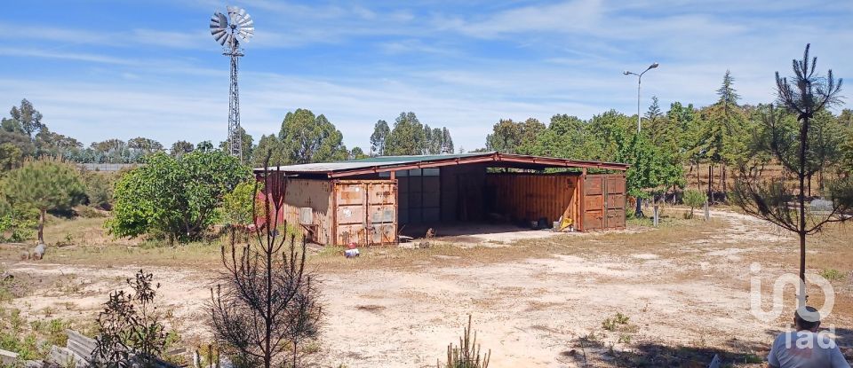 Terreno em Ponte de Sor, Tramaga e Vale de Açor de 18 000 m²