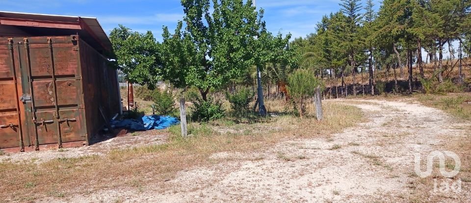 Terreno em Ponte de Sor, Tramaga e Vale de Açor de 18 000 m²