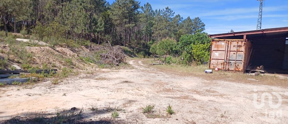 Terreno em Ponte de Sor, Tramaga e Vale de Açor de 18 000 m²